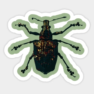 Insect Sticker